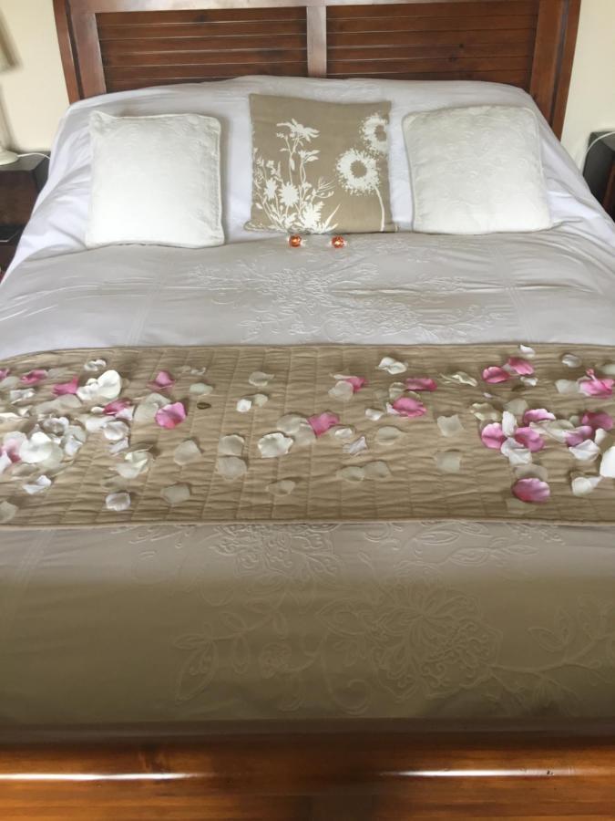 Seymours Court Bed and Breakfast Beckington Exteriör bild